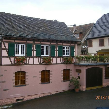 Gite Au Nid De Cigognes Villa Dieffenthal Екстериор снимка