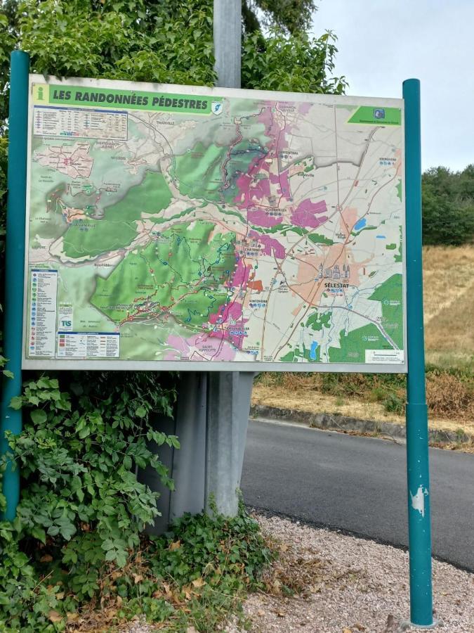 Gite Au Nid De Cigognes Villa Dieffenthal Екстериор снимка