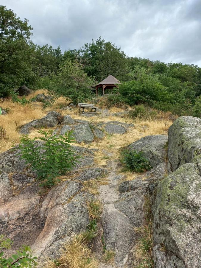 Gite Au Nid De Cigognes Villa Dieffenthal Екстериор снимка