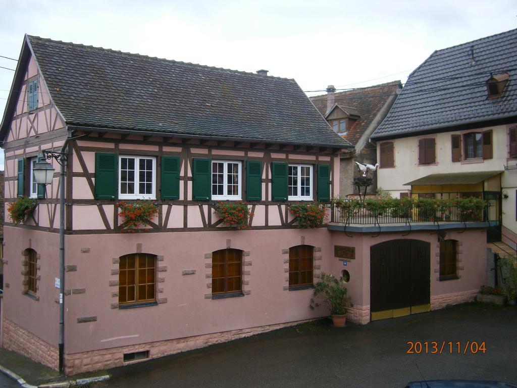 Gite Au Nid De Cigognes Villa Dieffenthal Екстериор снимка